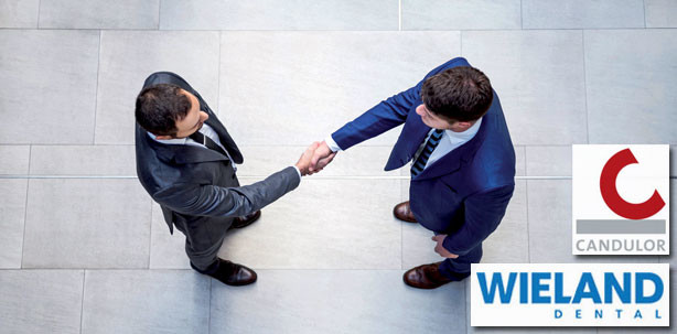 Friends with competence