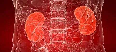 Zahnverlust kann Risiko einer Nierenerkrankung erhöhen