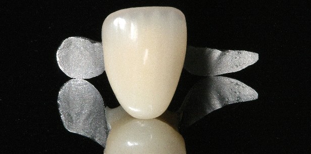 Socket Seal & TissueCare
