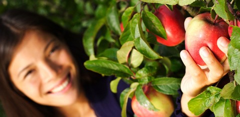 Neue Arbeitsgruppe „Ernährung und Zahngesundheit“