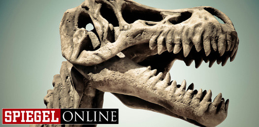 Chemisches Thermometer: Zahnschmelz verrät Temperatur ausgestorbener Tiere