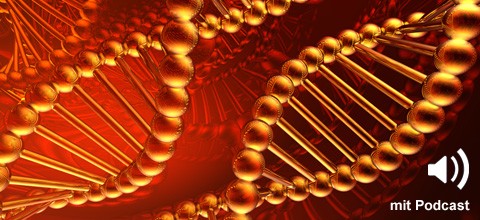 Lippen-Kiefer-Gaumenspalte: Gene wichtiger als gedacht?