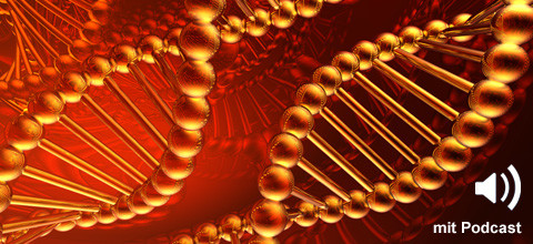 Lippen-Kiefer-Gaumenspalte: Gene wichtiger als gedacht?