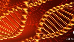 Lippen-Kiefer-Gaumenspalte: Gene wichtiger als gedacht?