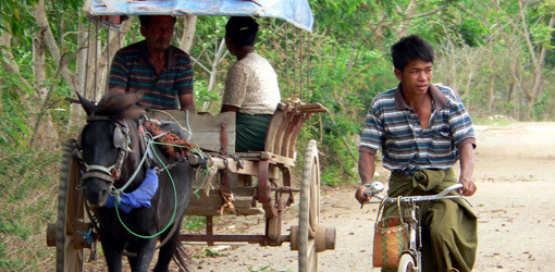 3M ESPE zeigt soziales Engagement auf den Philippinen