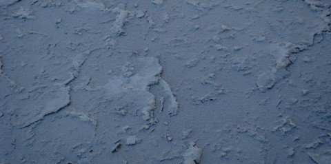 Mitmachen und gewinnen beim ZWP online Bilderrätsel!