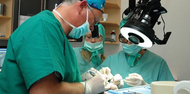 2. Lasertage in Damme