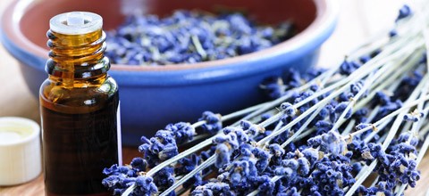 Lavendelduft beruhigt Patienten