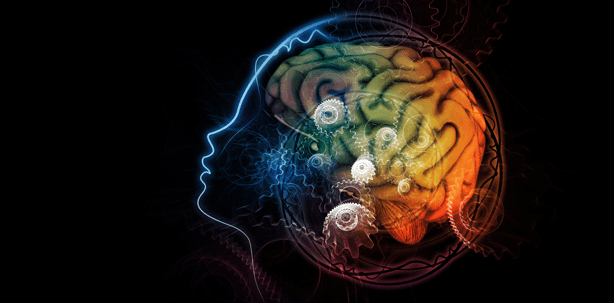 Denkstilanalyse und Denkstilmanagement – Teil 2