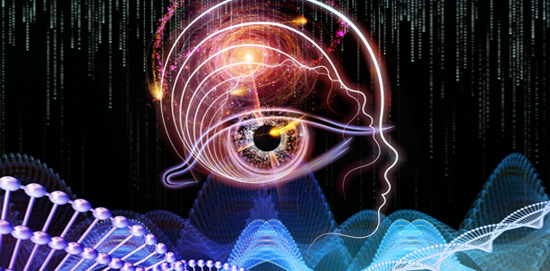 Dentale Stammzellen als Therapie nach Schlaganfall