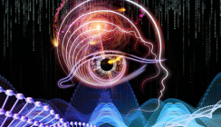 Dentale Stammzellen als Therapie nach Schlaganfall