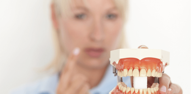 Dentalhygienikerinnen im EU-Fokus