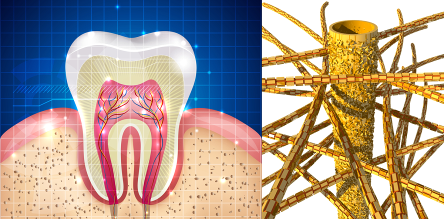 Was Zähne fester macht als jedes bekannte künstliche Material