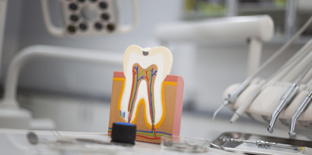 Zahnmedizin in Deutschland auf hohem Niveau