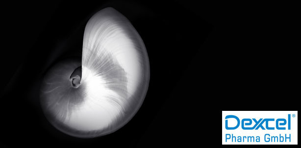 PerioChip®-Fortbildungen 2016 – Jetzt informieren und anmelden!