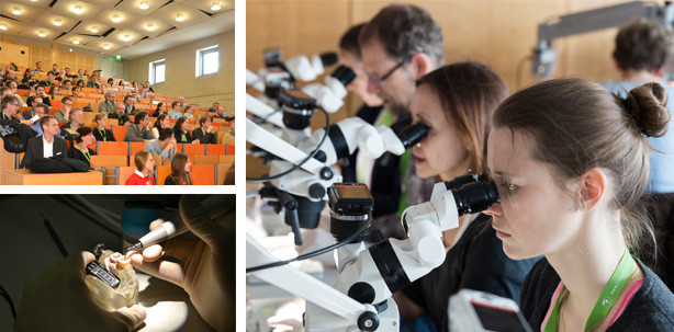 Erfolgreiche Frühjahrsakademie der DGET 2015 in Dresden