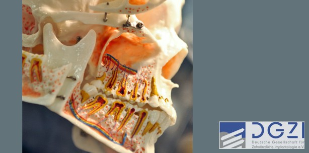 Auffrischung am Wochenende: Kursteil Anatomie