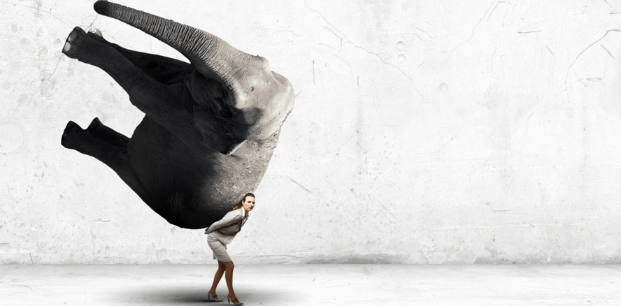 „Dickes Fell“ im Job kann vor Burn-out schützen