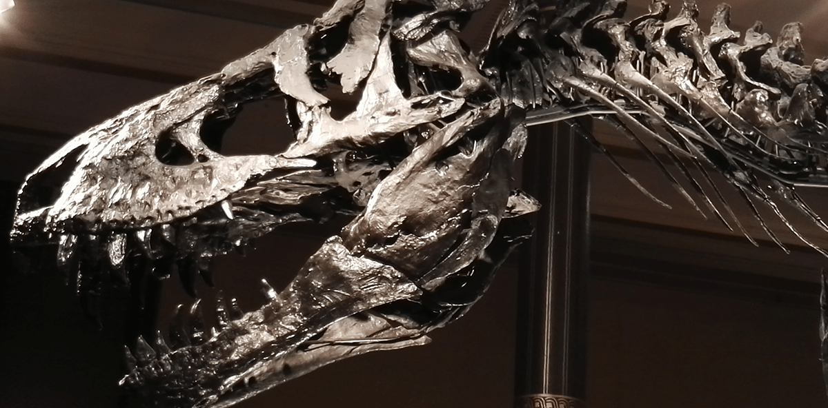 Dino mit Zahnweh