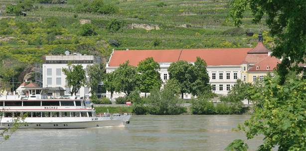 Erfolgreiche Praxis durch universitäre M.Sc.-Spezialisierung