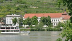 Erfolgreiche Praxis durch universitäre M.Sc.-Spezialisierung