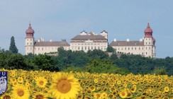 Eine Universität geht neue Wege in Wissenschaft und Forschung