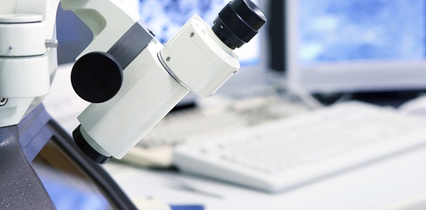 Futuristisch: Wissenschaftler untersuchen Zähne bevor sie wachsen
