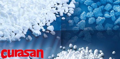 curasan AG: Neue USA-Tochter für die Orthopädie