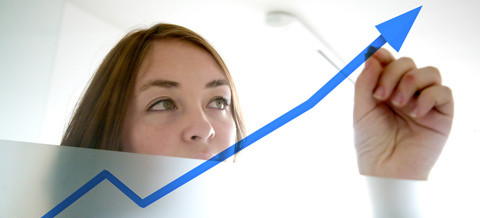 BWL (1) - Die Grundlagen