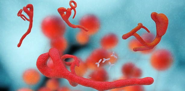 Ebola-Verdacht in der Praxis: Das ist zu tun