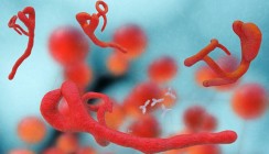 Ebola-Verdacht in der Praxis: Das ist zu tun