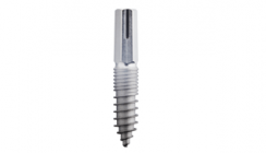 Einteilige Implantate