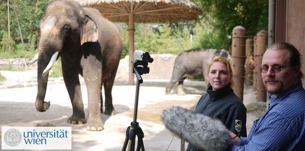 Elefant imitiert menschliche Sprache