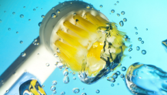 Elektrische Zahnbürsten reinigen gründlicher