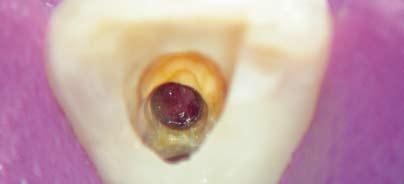 articleImage