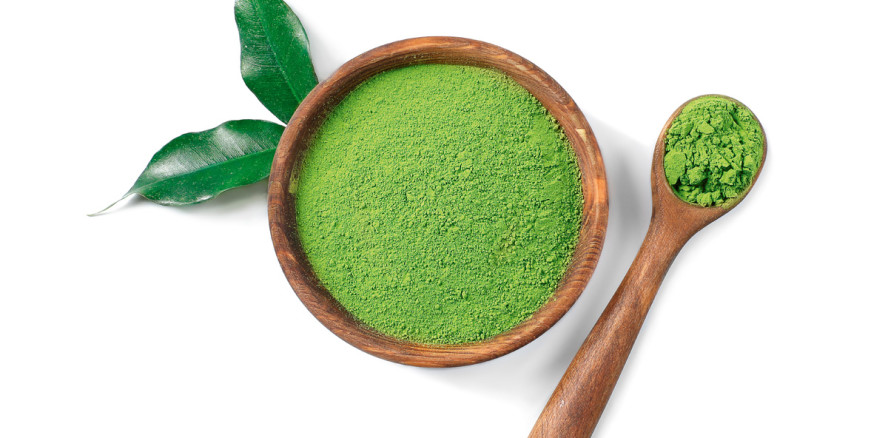 Die Einflüsse der Epigenetik