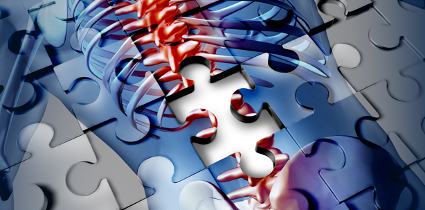 Ergonomie – mehr als ein gesunder Rücken!