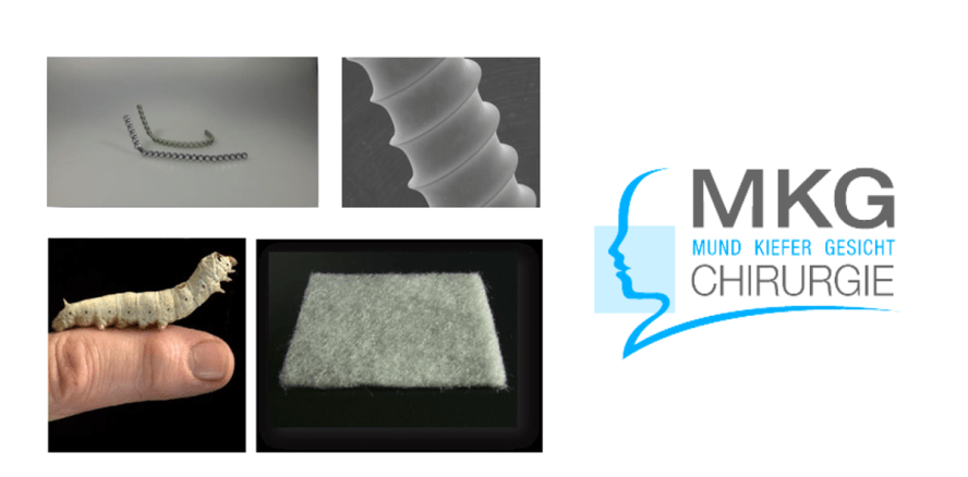 Erste Erfolge mit neuen selbstauflösenden Biomaterialien