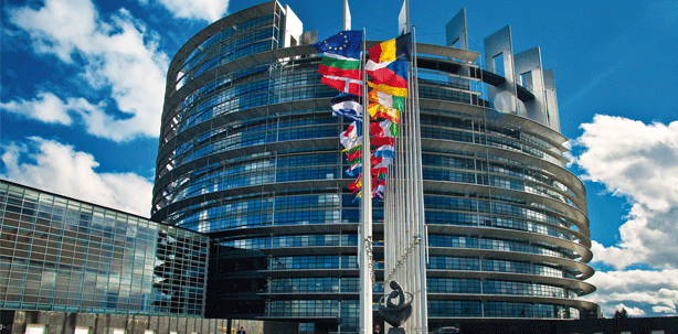 Europawahl entscheidet über Zukunft des „freien Berufes Zahnarzt“