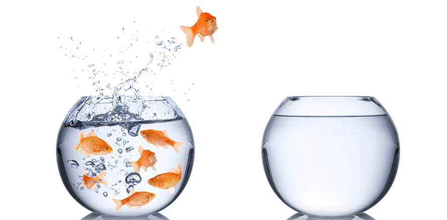 Fluktuationskosten – Wie teuer ist ein Personalwechsel wirklich?