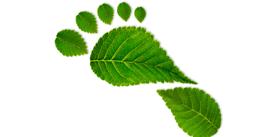 Den ökologischen Fußabdruck im Praxisalltag verkleinern