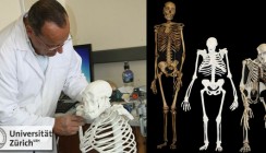 Zähne neuer Fossilienart entlarven direkte Vorfahren des Menschen