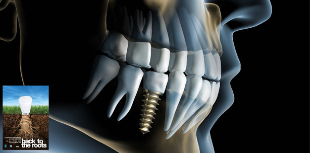 back to the roots: 6. Gemeinschaftstagung der SGI, DGI und ÖGI