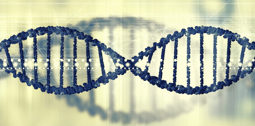 Gene für Zahnmerkmale entschlüsselt