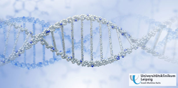 Hochdosiertes Vitamin B verringert Auftreten von LKG-Spalten