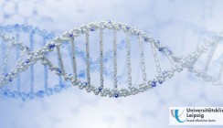 Hochdosiertes Vitamin B verringert Auftreten von LKG-Spalten