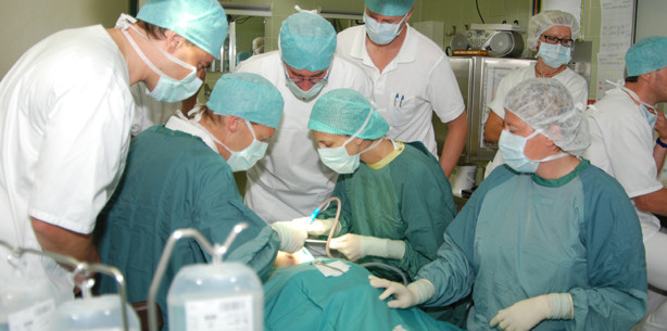 Erfolgreiche Summerschool in Graz 2012