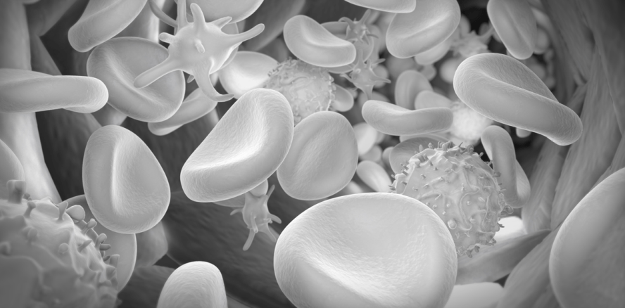 Gute Zellen, schlechte Zellen