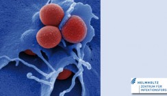 Neue Hoffnung im Kampf gegen multiresistente Keime