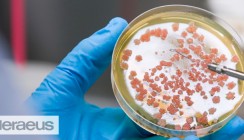 Heraeus: Mit Antitumor-Wirkstoffen Krebs erfolgreich bekämpfen
